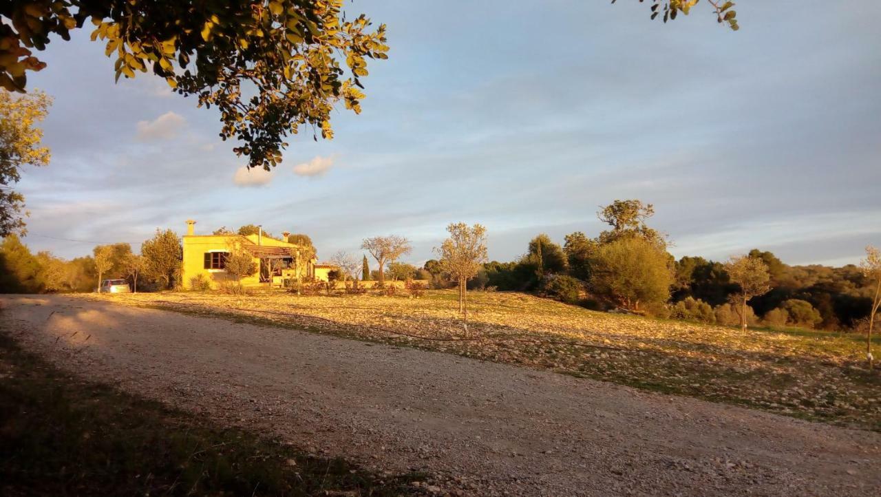 Ferienhaus Sa Comella